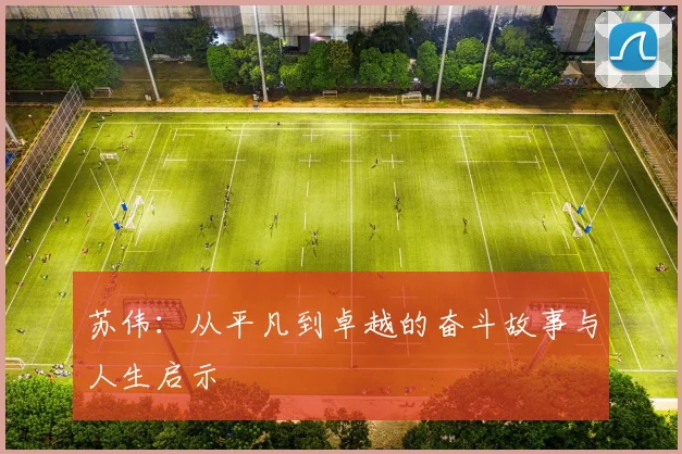 苏伟：从平凡到卓越的奋斗故事与人生启示