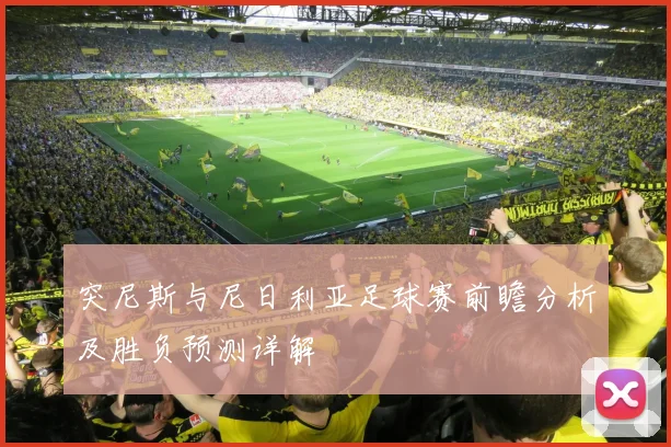 突尼斯与尼日利亚足球赛前瞻分析及胜负预测详解