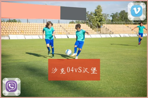 沙克04vS汉堡