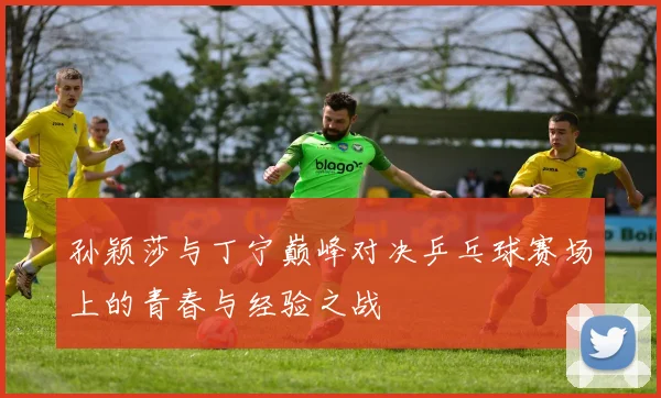 孙颖莎与丁宁巅峰对决乒乓球赛场上的青春与经验之战