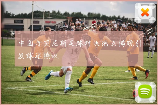中国与突尼斯足球对决地点揭晓引发球迷热议